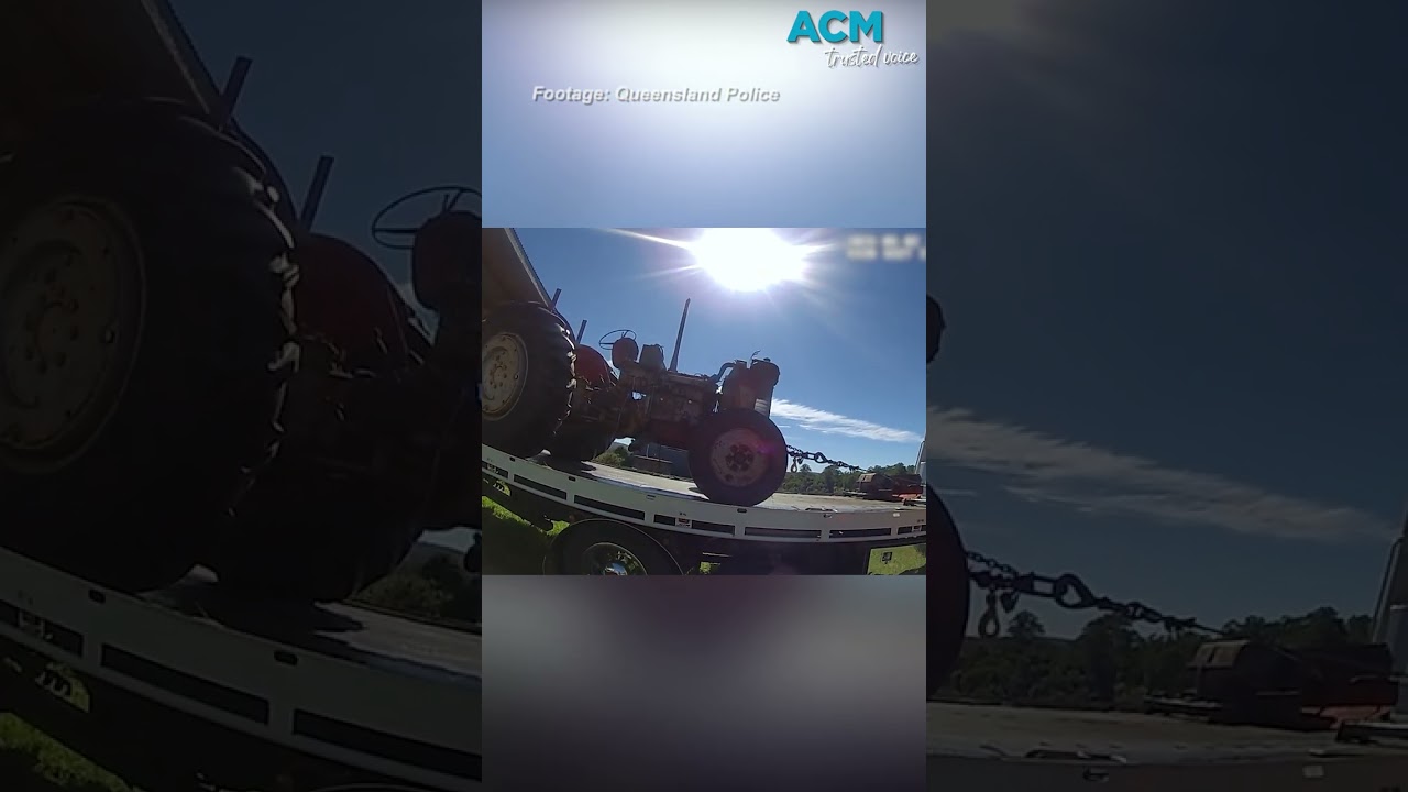 Woman charged after allegedly stealing 100 cows in rural QLD