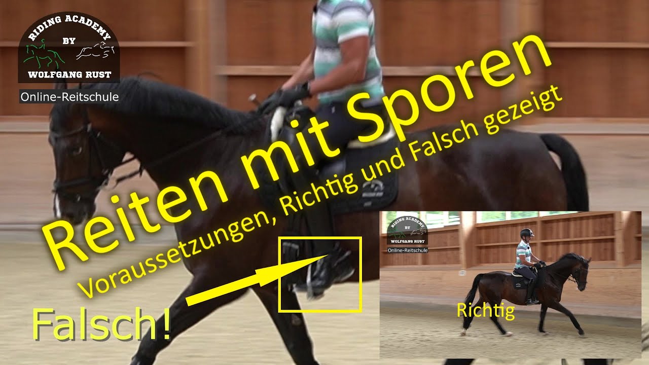 F75 Reiten mit Sporen- Richtiges und falsches Reiten am Pferd gezeigt. Darauf m&uuml;ssen Reiter achten.