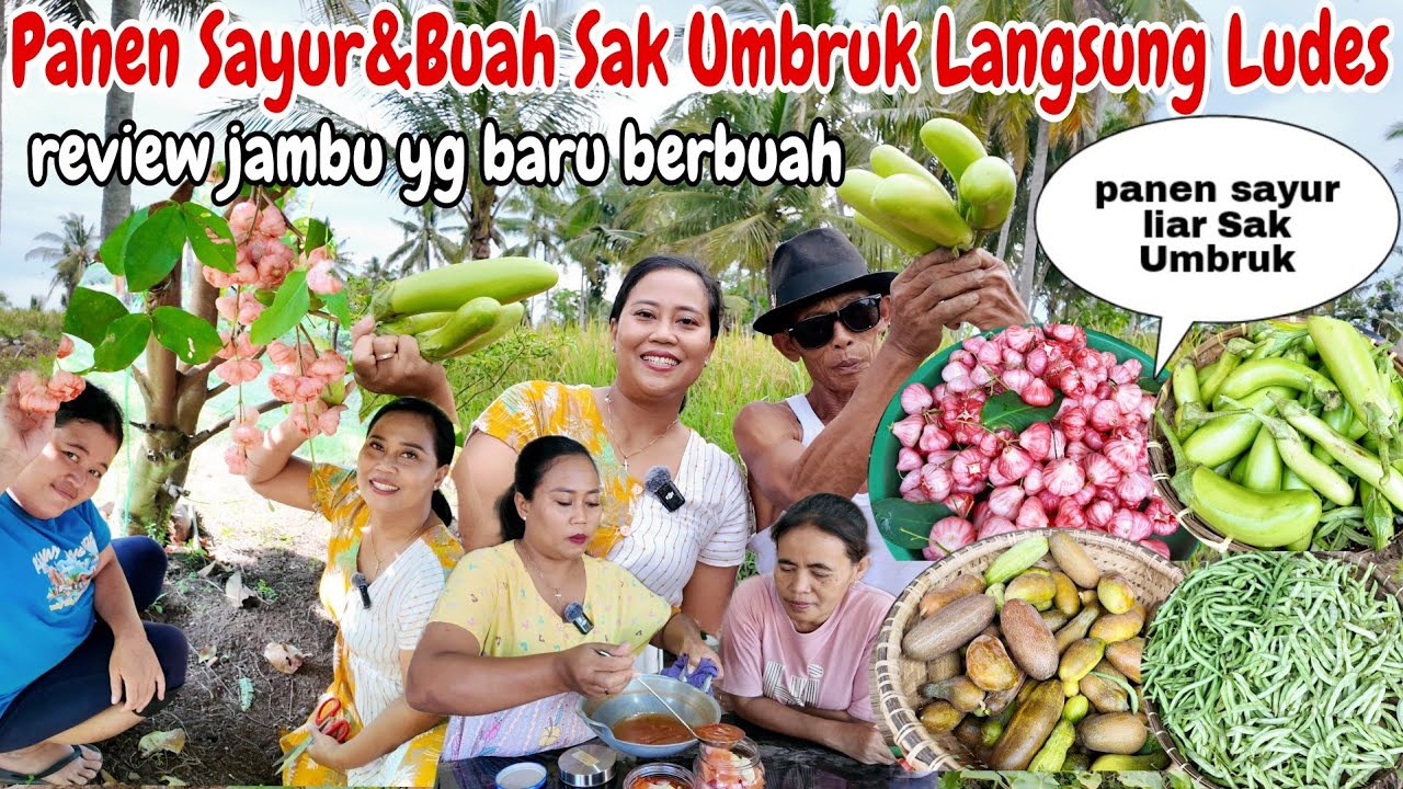 PANEN BERMACAM