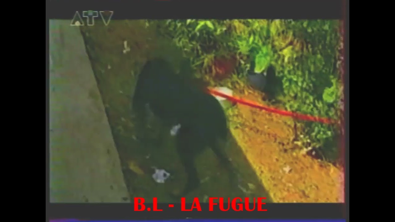 BANKOULÉLÉ - CHAPP' LA(LA FUGUE) - Jean-Yves RUPERT - Maximin PLANCY - Thierry ADÈLE