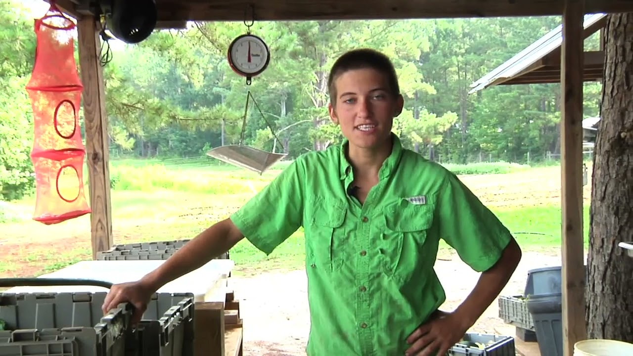 Farm Hack: Wash Station
