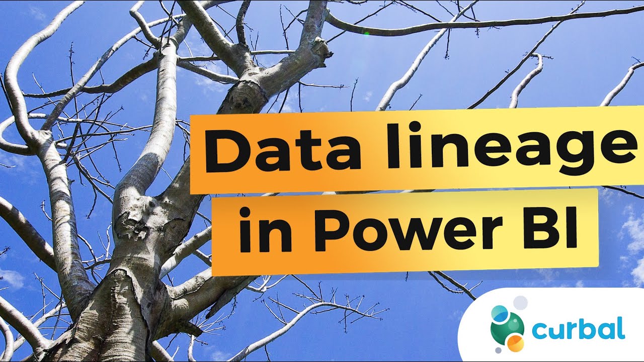 Which reports are using my model? Data lineage in Power BI