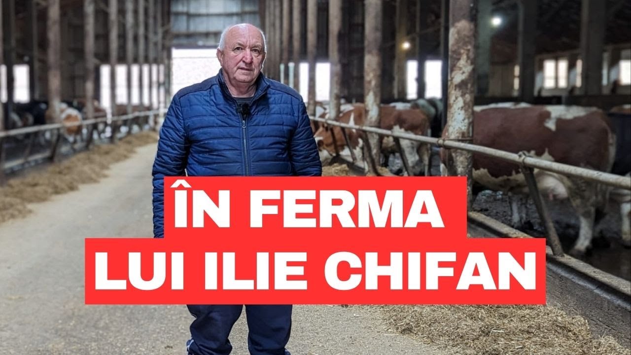 Ilie Chifan, un fermier pasionat de Bălțata Românească