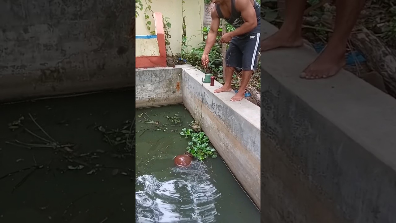 Matka Fishing 😱 | Amazing Climbing Fish Catching | #shorts #matkafishing #climbingfish