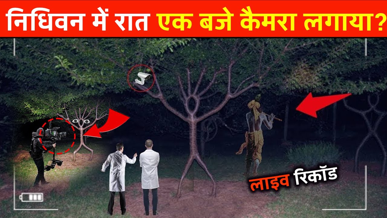 वैज्ञानिक हुए हैरान- एक सनकी  ने निधिवन में Camera लगा दिया, तब दुनिया के सामने ये आया  | Nidhivan