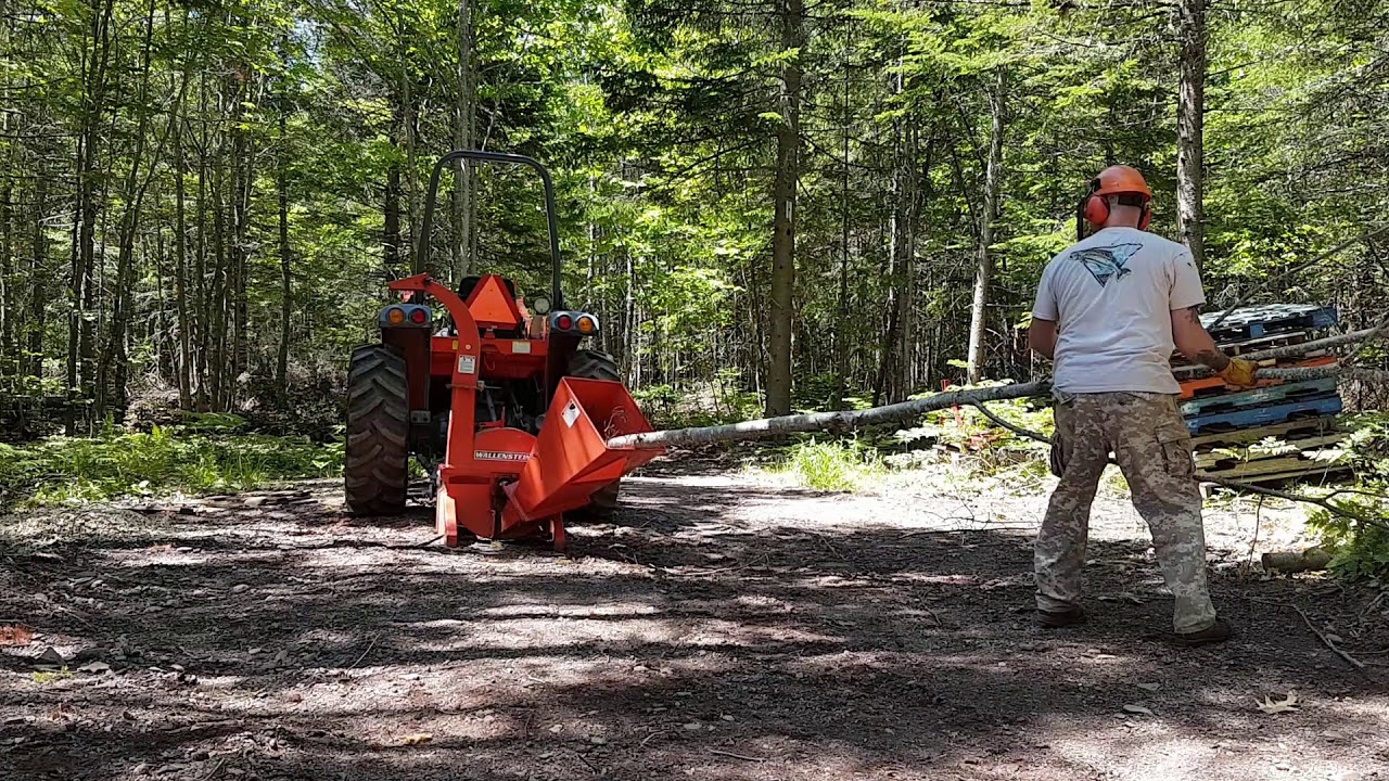 Let's chip some wood! Wallenstein BX-42 Wood Chipper - 10 year review!