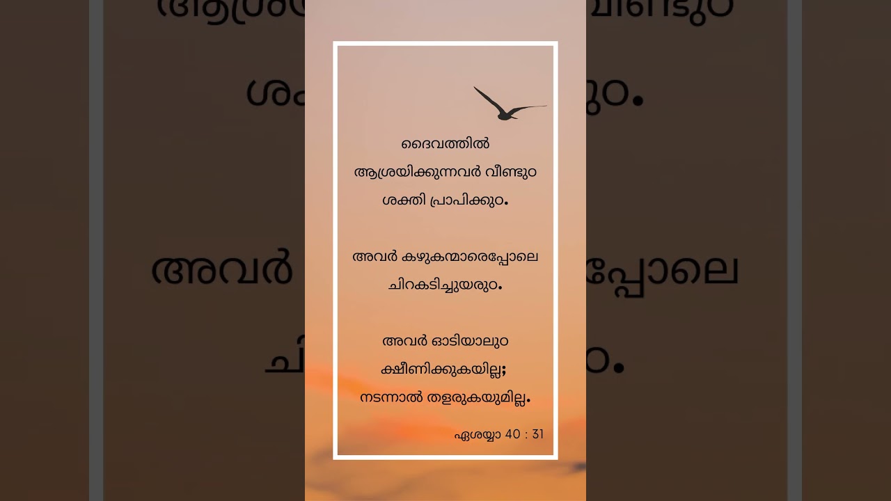 ബൈബിൾ വചനങ്ങൾ Life changing bible quotes for success #bible #biblequotes  #malayalam #bibleverse