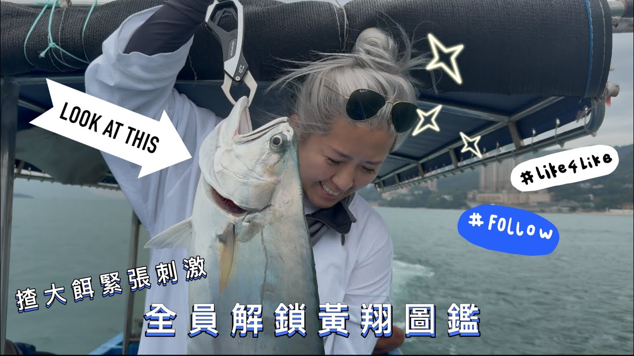 青馬大戰黃翔～三師徒成功解鎖黃翔圖鑑～揸大餌中魚特別刺激💪初嘗自家製黃翔刺身熟成大成功😍原來黃翔都可以咁好食￼😋 #sobear #香港釣魚 #釣り #fishing #黃翔