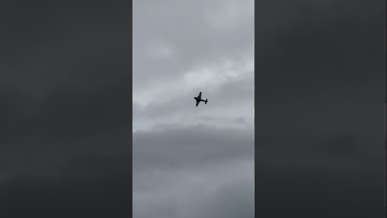 Kinfe Flight with YAK-11 #aviation #rcfly #rcpilot #airplanes #aviationlovers #rc #youtubeshorts