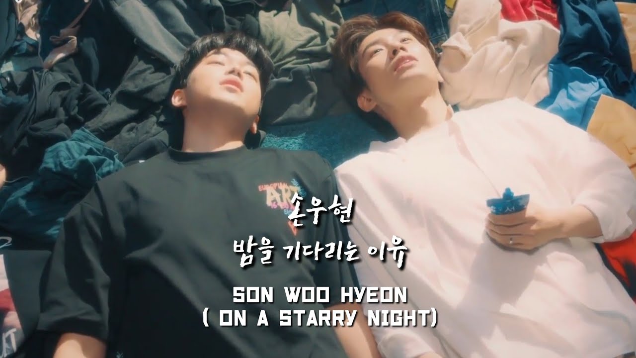 [KR/ENG] 손우현 - 밤을 기다리는 이유 (백구님 버전) On A Starry Night - Son Woo Hyeon Version Lyrics Video