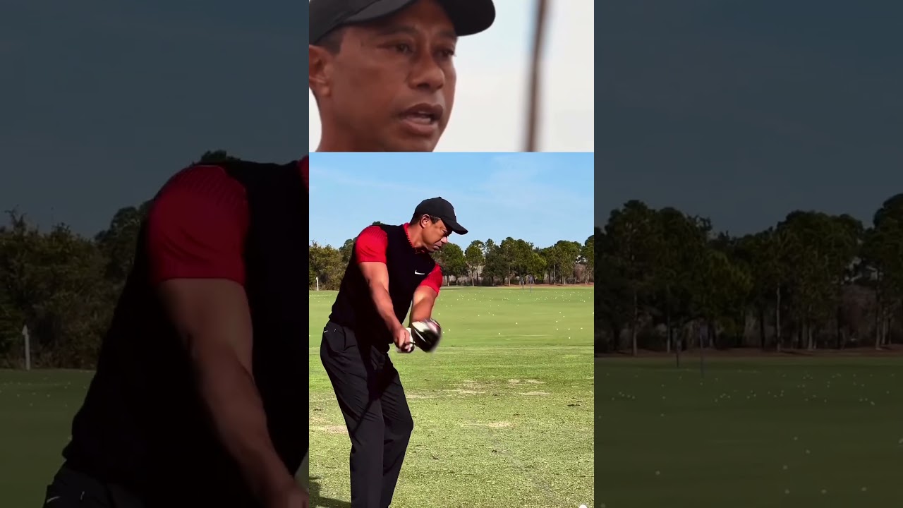 Cual es el palo de golf m&aacute;s importante?