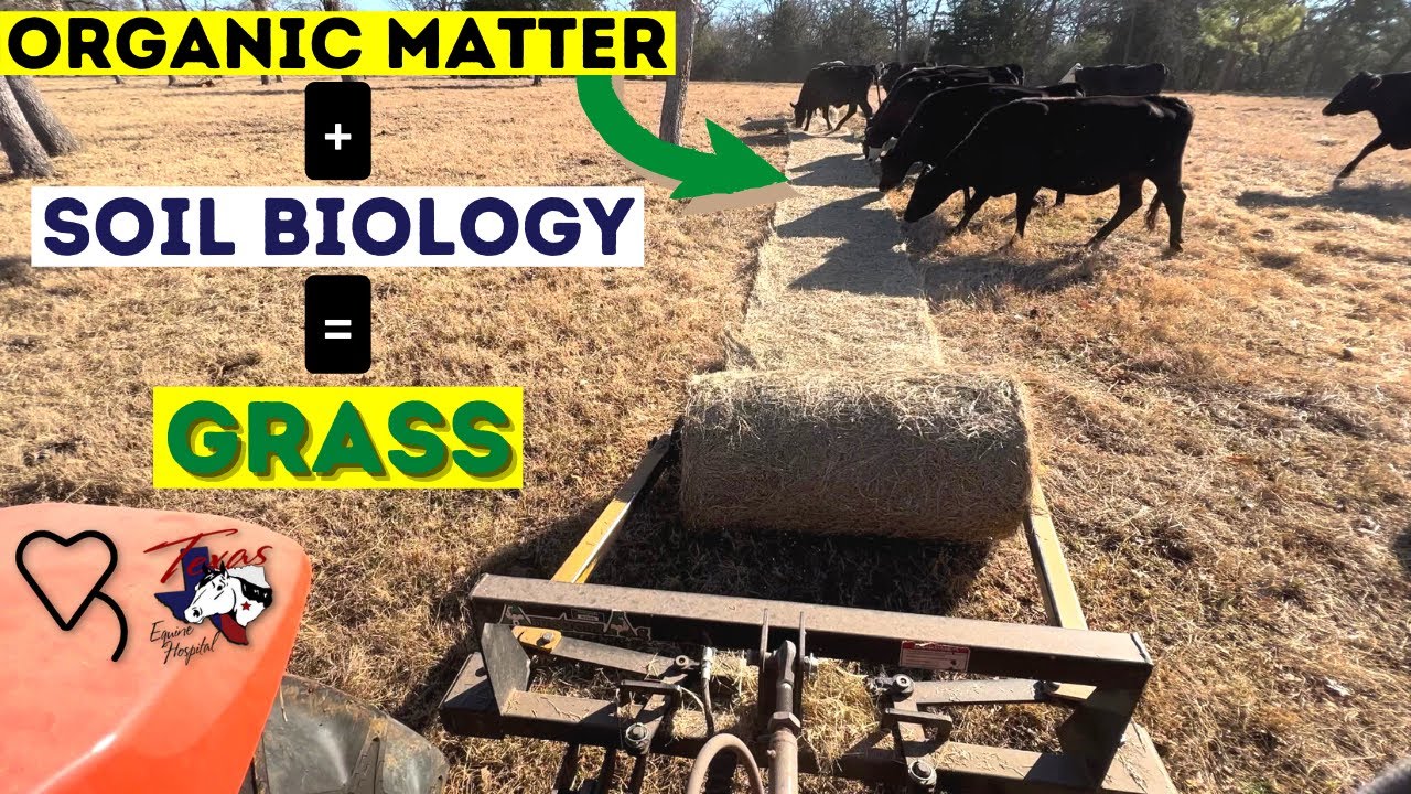 Organic Matter + Soil Biology = Grass | Regenerative Ranching