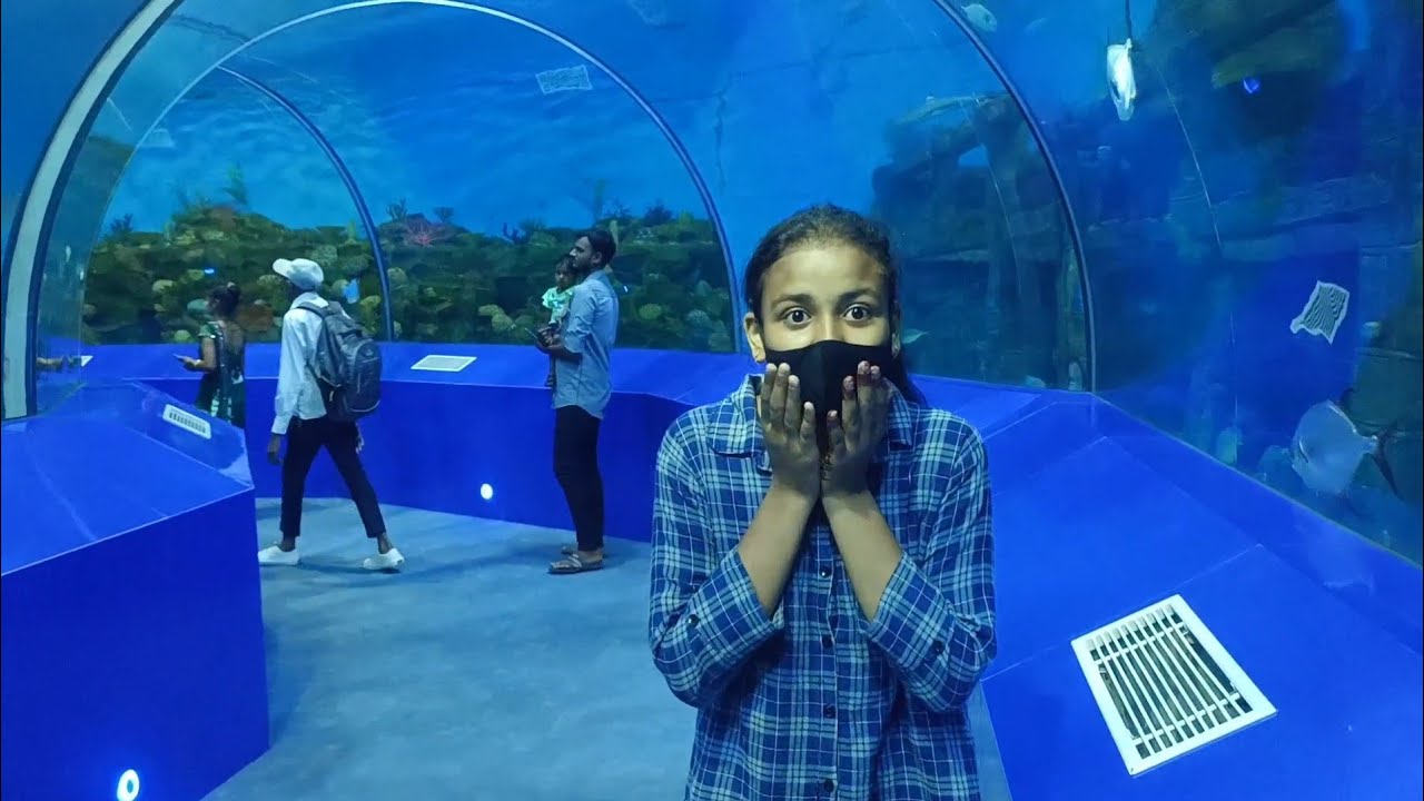 my fast vlog || Aquatic Gallery Science City, Science City Rd, Bhuyang Dev, Sola, Ahmedabad, Gujarat