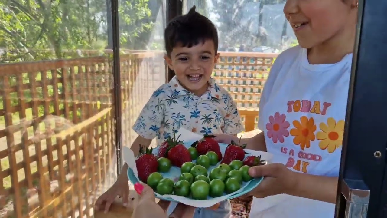 Bakı/Balıqlı göl/Piknik günümüz/