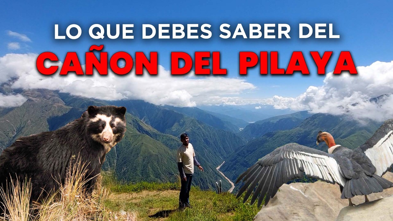 EL CAÑON DEL PILAYA, ¿Cómo llegar? y las recomendaciones.