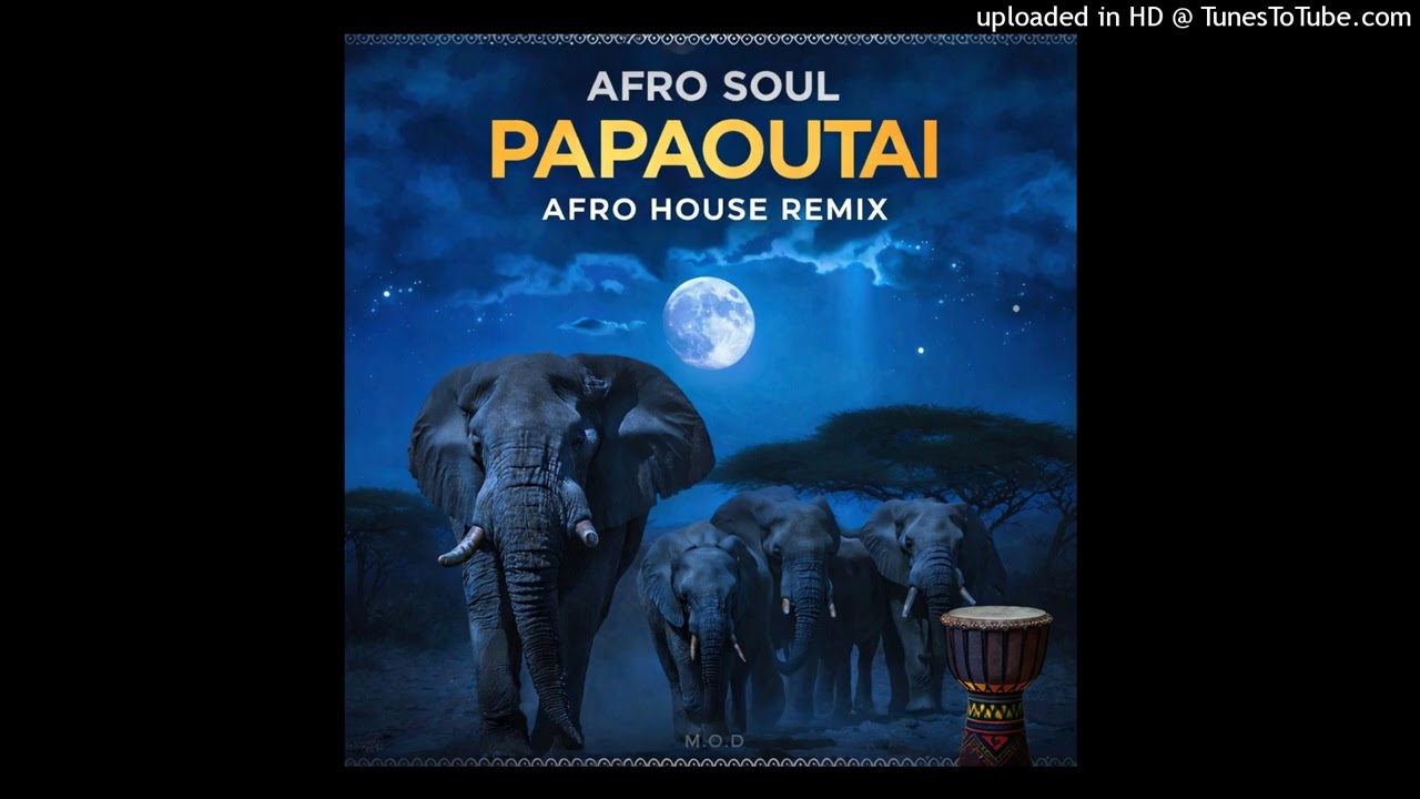 Afro Soul - Papaoutai (M.O.D Afro House Remix)