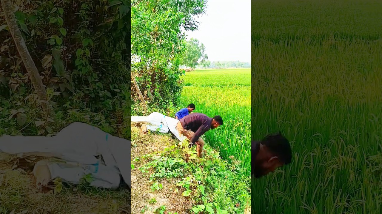 What a strange thing. # Super # Funny # Short # Video # Comedy # Burma # Myanmar # Indonesia #😭😭🥦🥦😱
