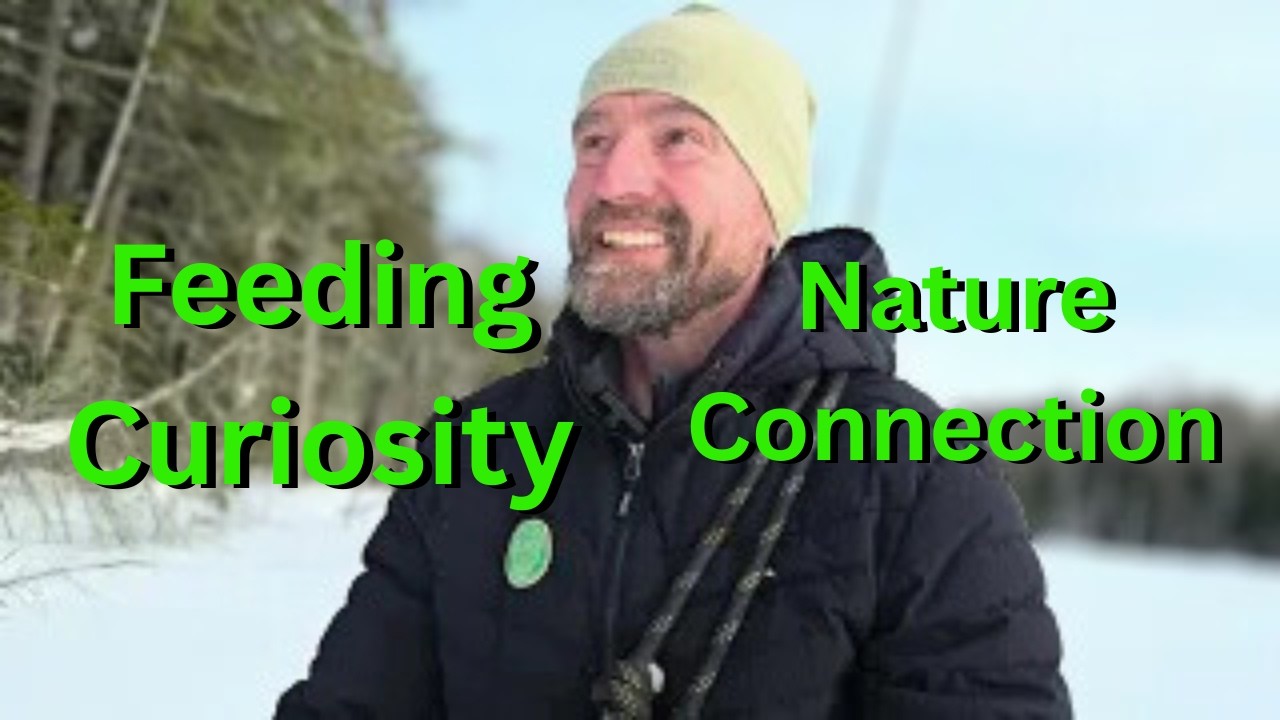 The One about Exploring a Standing Dead Forest and Feeding Curiosity.
