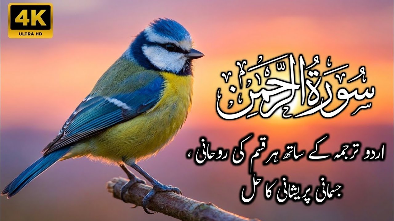 Surah Rahman With Urdu Translation | Surah Rahman Ki Tilawat Tarjuma Ke Sath | Ep 29