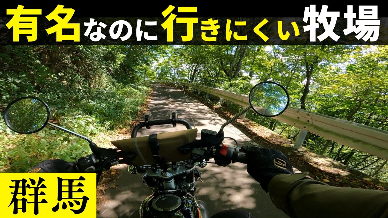 道幅極狭｜アクセス悪いのに群馬イチ有名な神津牧場で絶品バーガー。神秘的な岩村田ヒカリゴケや、内山牧場コスモス園のピンクに染まる絶景に癒やされるツーリング｜モンキー125