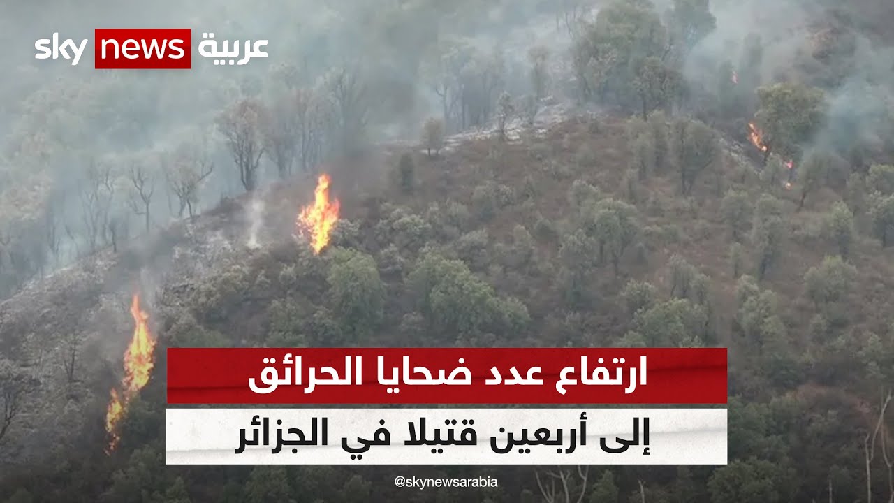 الجزائر.. النيران تتلف مئات الهكتارات في بجاية | #مراسلو_سكاي