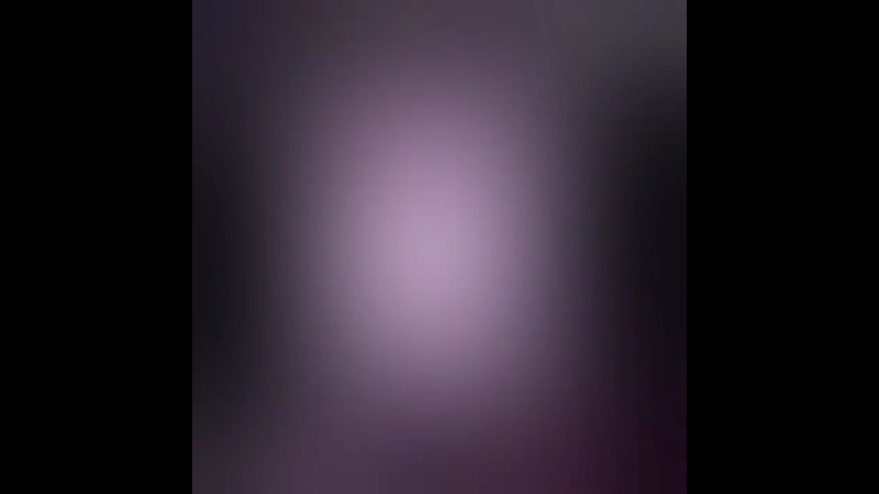 Die Brieftaube