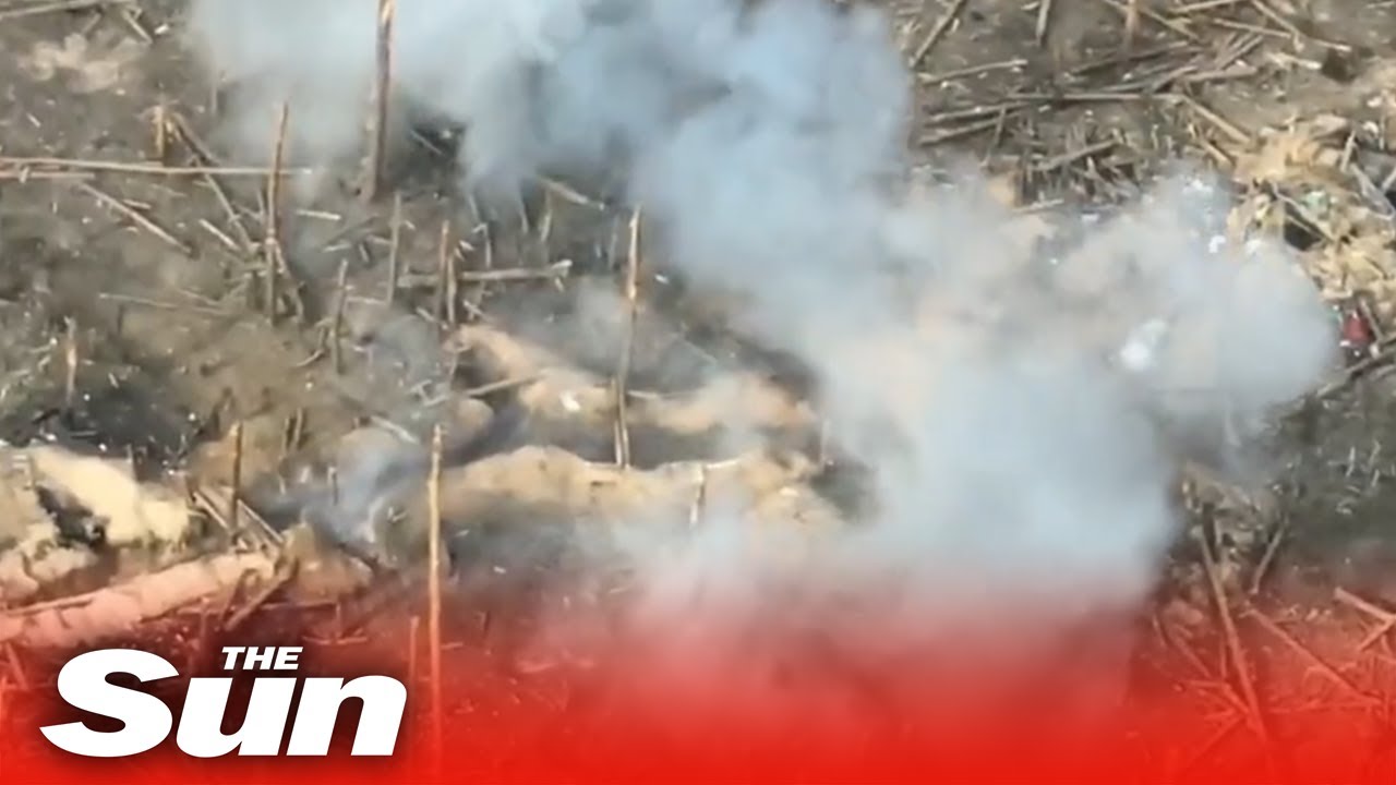 Russian positions in Kreminna forest ambushed by Ukrainian fire