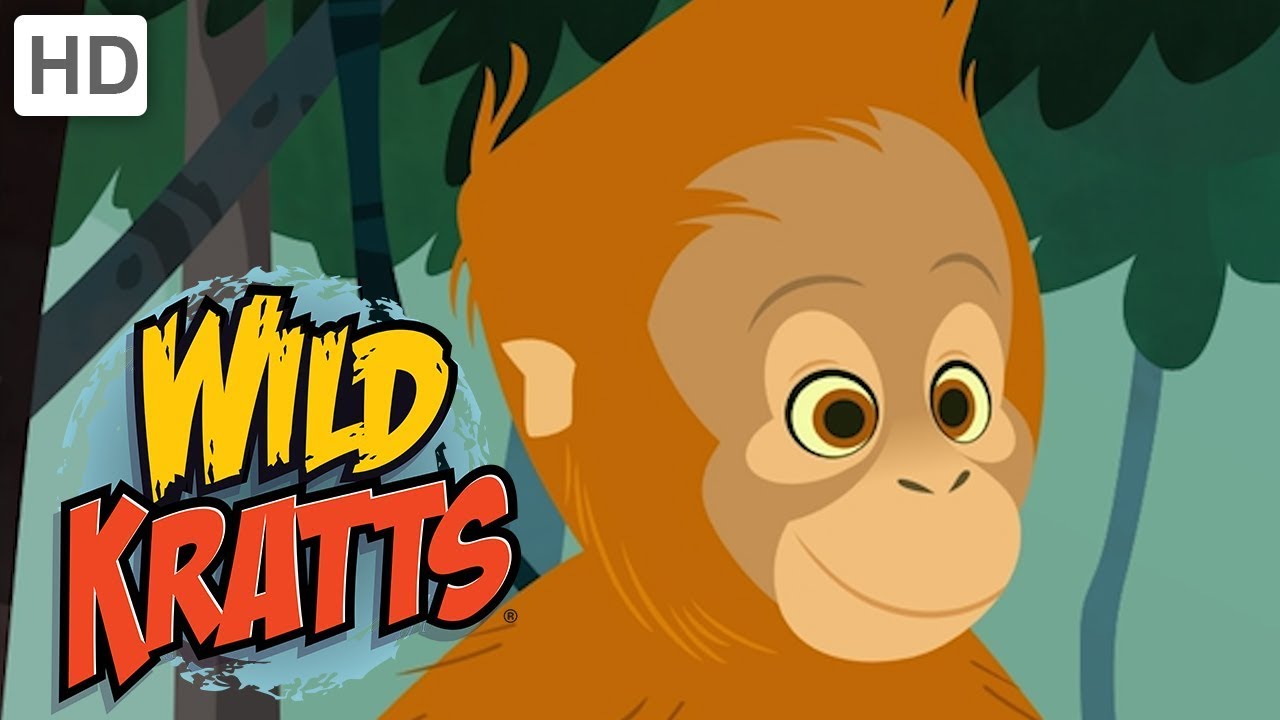 🐒 Wild Kratts - Swinging with the Monkeys | Kids Videos