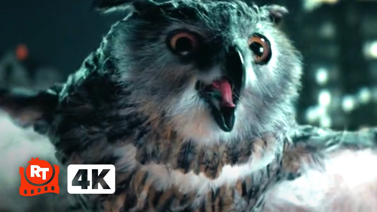 The Naked Gun (2025) 4K - Liam Neeson’s Owl Daddy | Movieclips