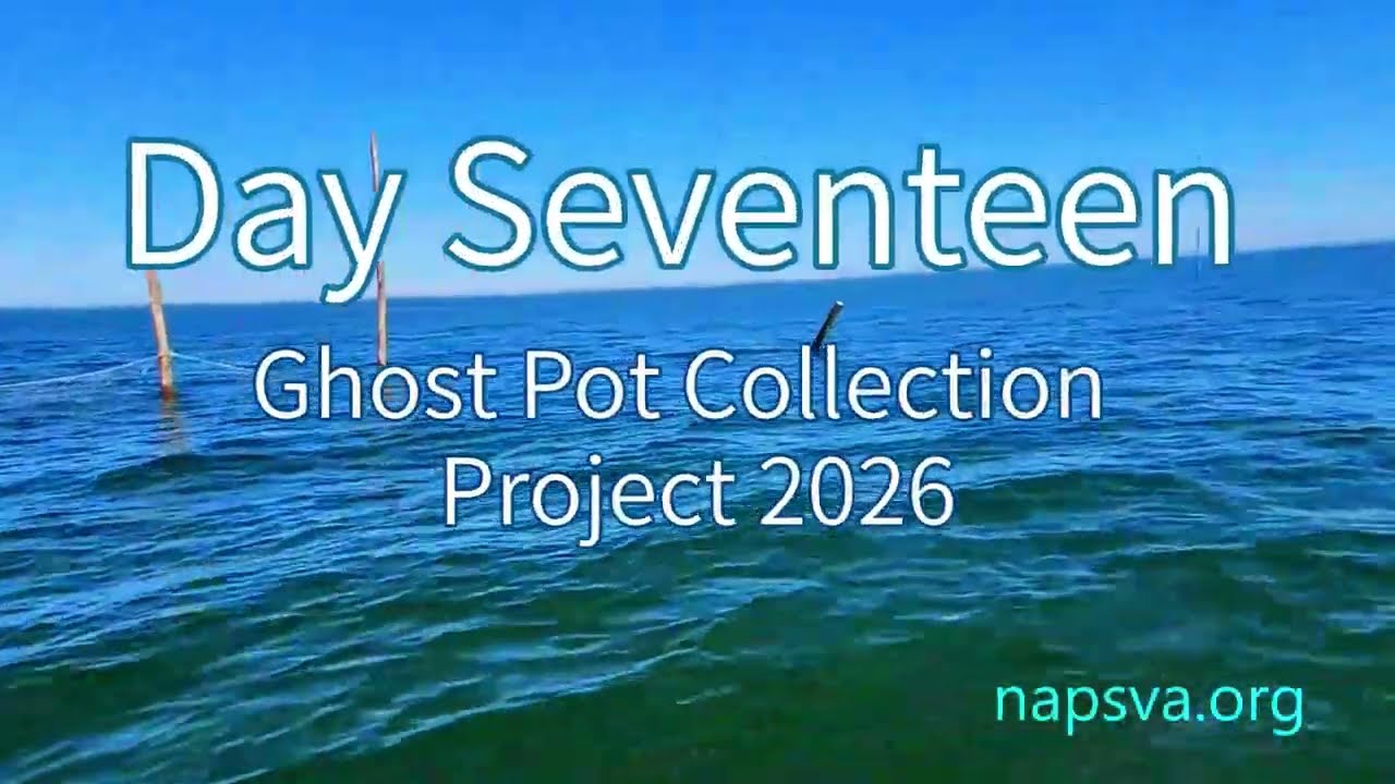 NAPS Winter Project Day Seventeen | 4K Video