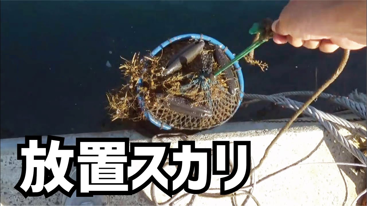 数ヶ月くらい堤防に放置したスカリに想像を超えた生物が（942話目）