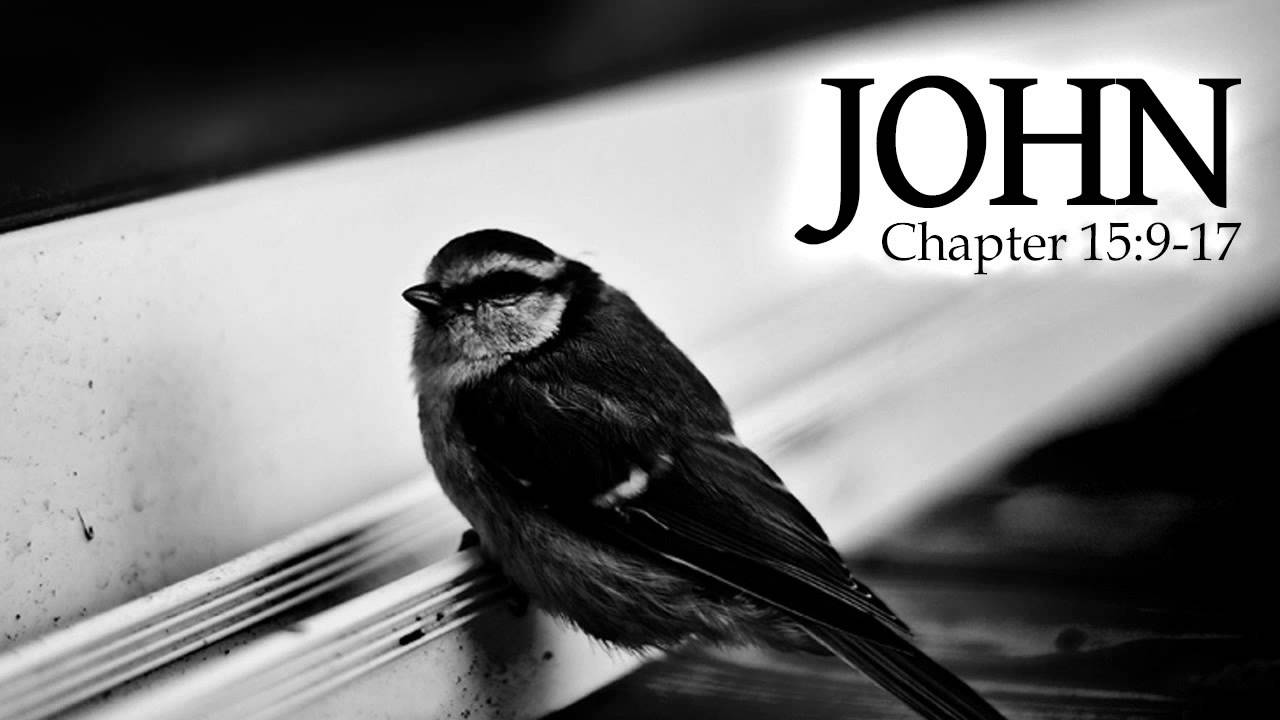 Verse by Verse - John 15:9-17