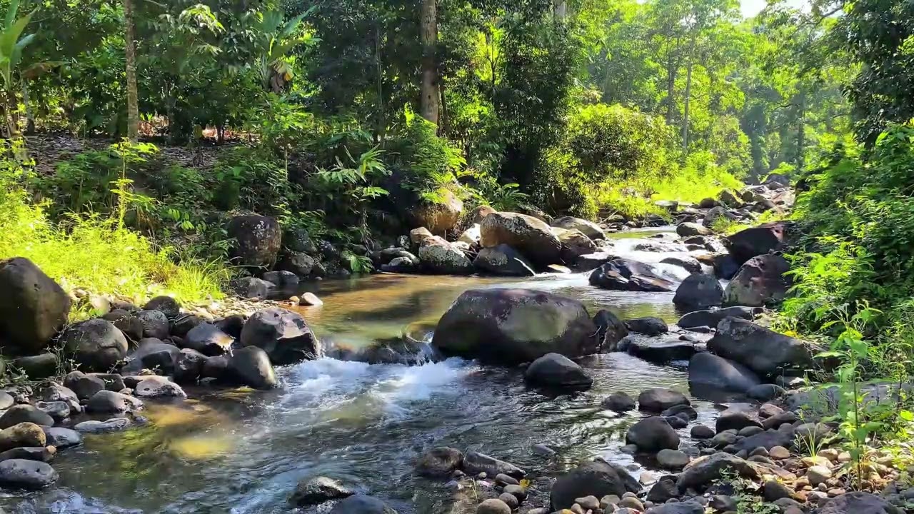 💤Sleep Comes Easily 💤 | Calm River Flow Between Forest Stones for Deep Night Rest
