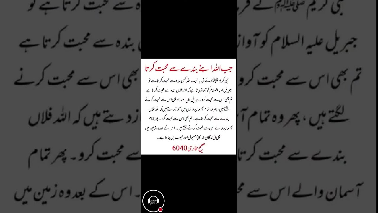 The Quran Voice | live videos