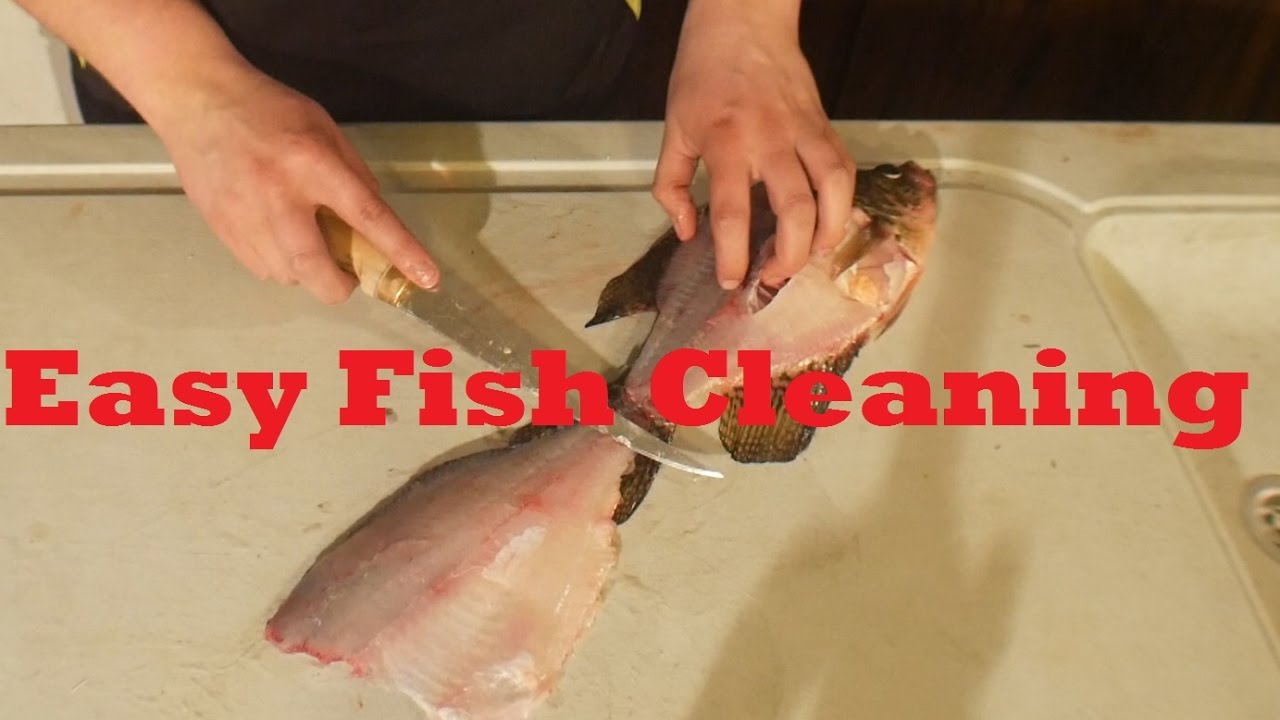 How to Fillet Crappie ( Panfish)