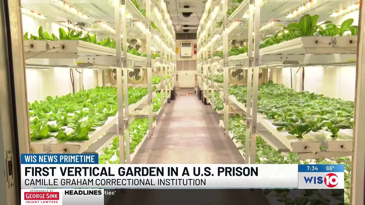 South Carolina prison becomes first in U.S. to grow food with vertical farm