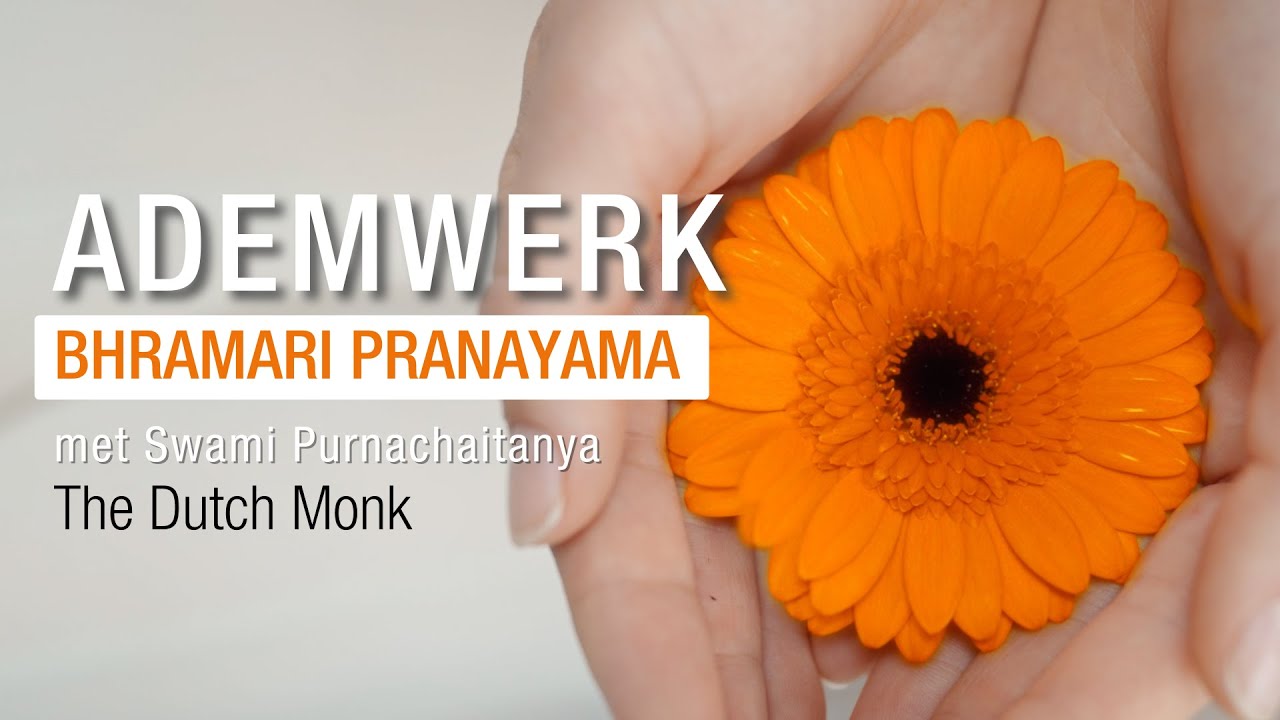Ademhalingsoefeningen voor Beginners | Bhramari Pranayama met Swami Purnachaitanya