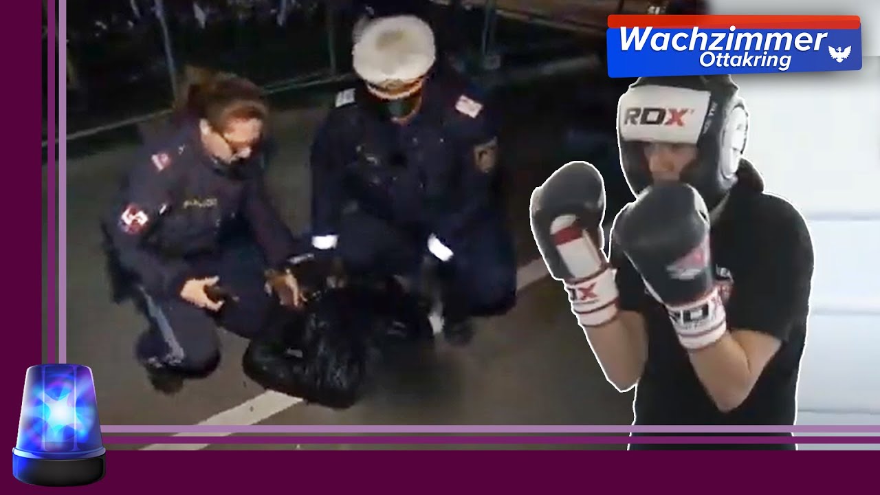 Mehrere FESTNAHMEN, Karin zu Besuch und Maja geht zum BOXEN 😊  | 2/2 | Wachzimmer Ottakring | ATV