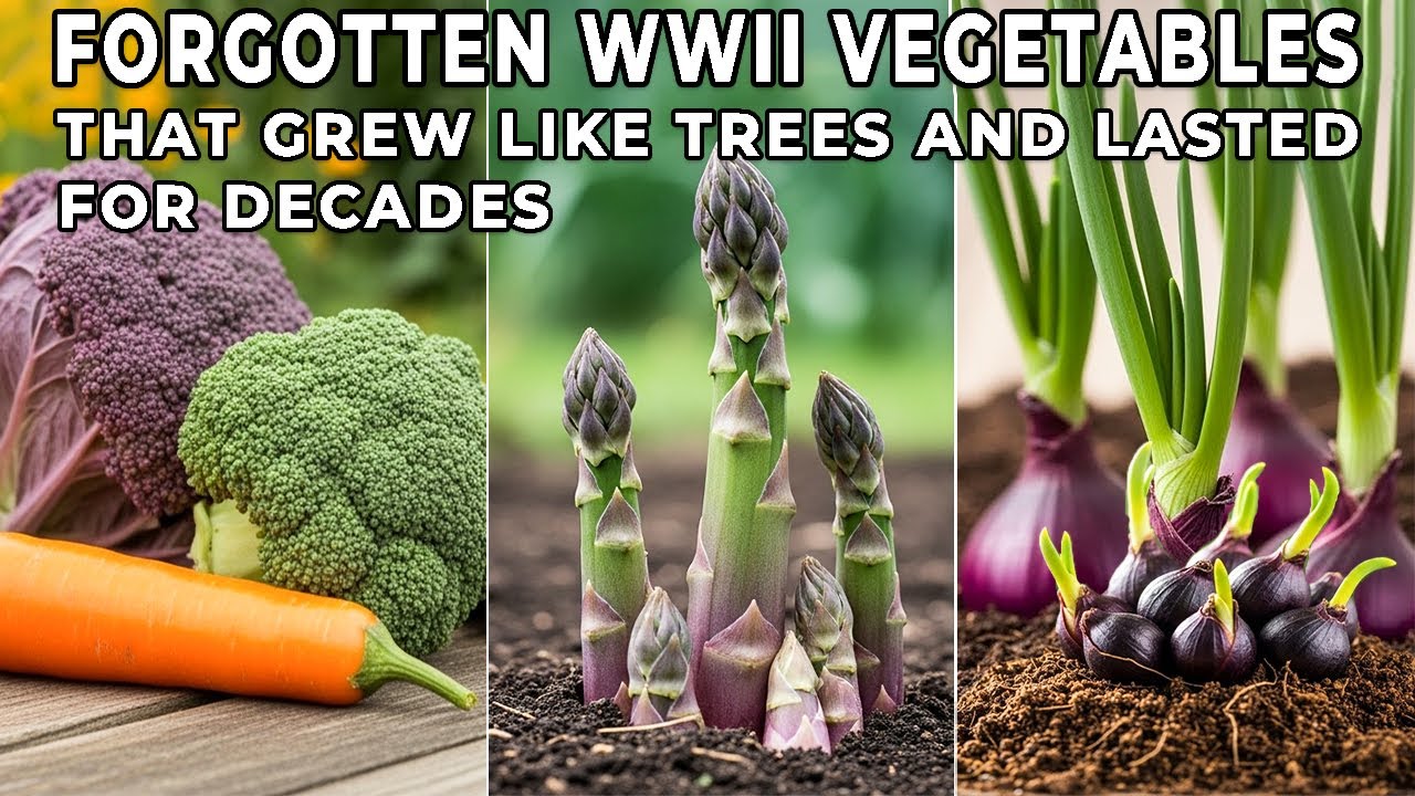 Plant Once. Harvest for Decades. The WWII Vegetables That Grew Like Trees—and Then Disappeared