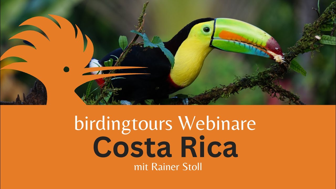 birdingtours Webinare - Costa Ricas Vogelwelt