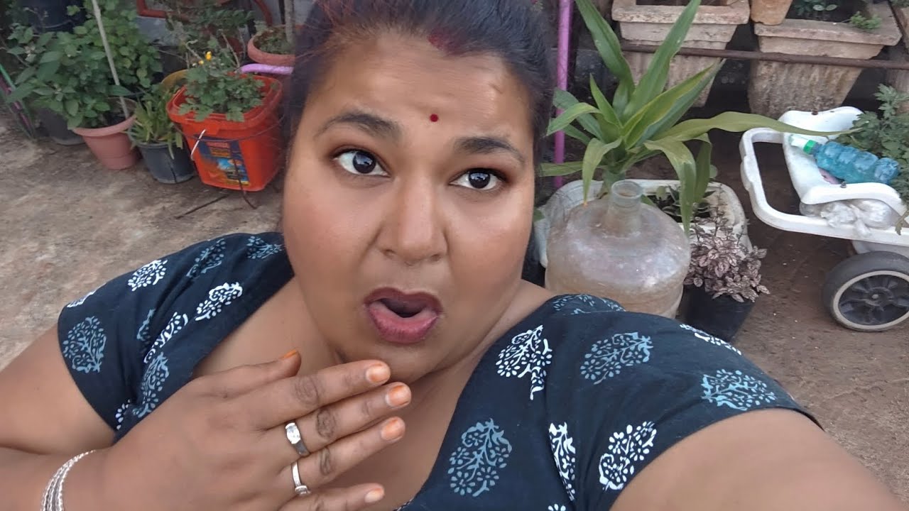 Sham ko time garden mein video banai# Aaj gulab ke phool bahut sare khile hue hain