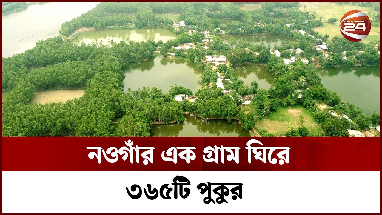 নওগাঁর এক গ্রাম ঘিরে ৩৬৫টি পুকুর | Channel 24