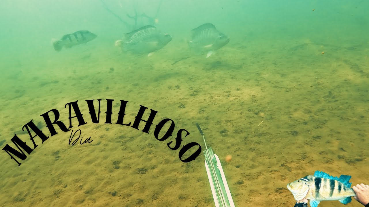 S&oacute; as Melhores -- Global sub -- pesca subaqu&aacute;tica -- pesca sub em rio