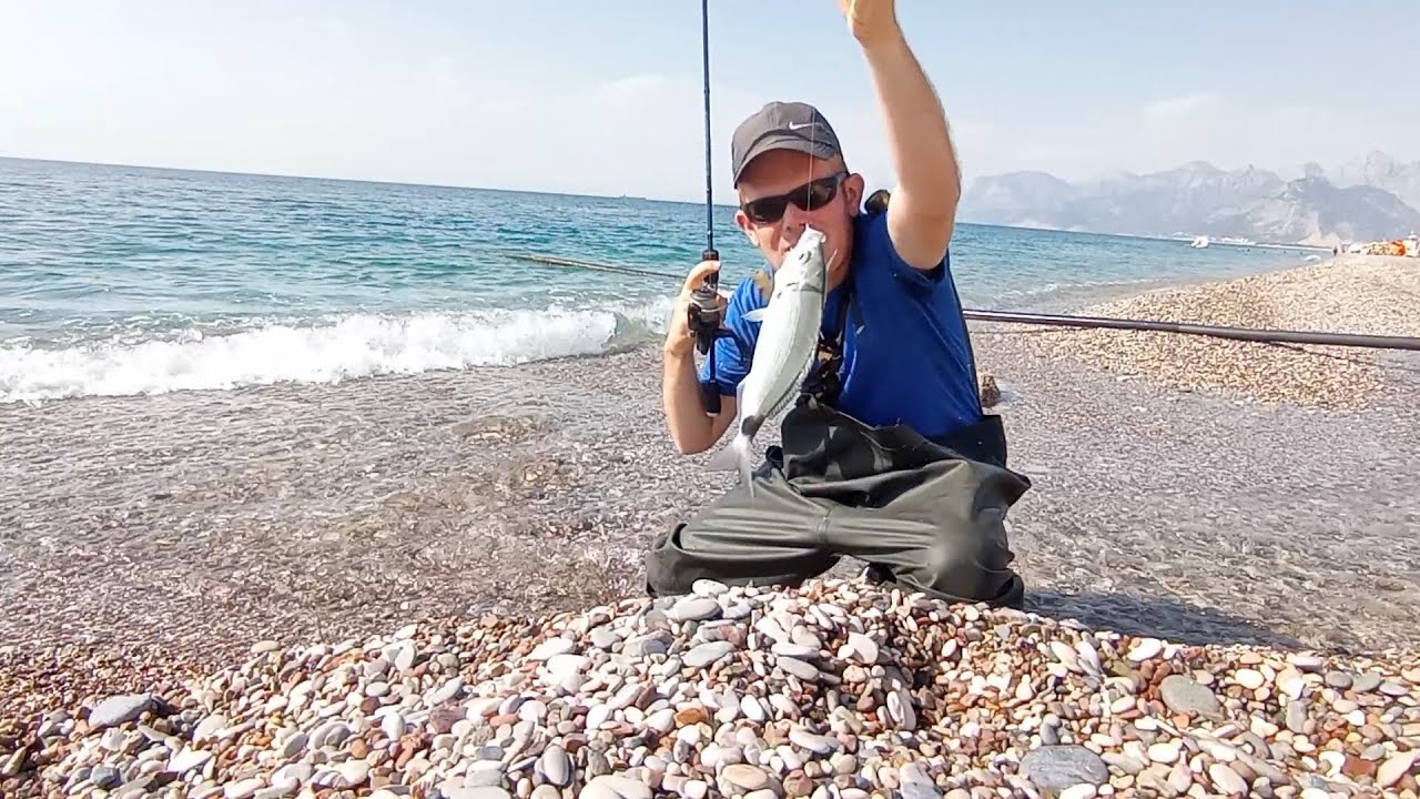 Çay ağzı Melanur ,Yalandırma  avı
