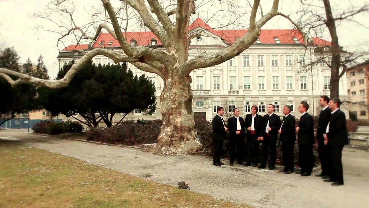 Dan ljubezni - Klapa Cambi (K. Kambelovac)