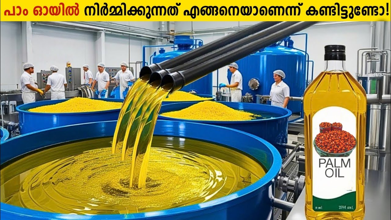 പാം ഓയിൽ നിർമ്മിക്കുന്ന Factory യിലെ അത്ഭുത കാഴ്ചകൾ!😱This Is How Palm Oil Made In Factory Malayalam!