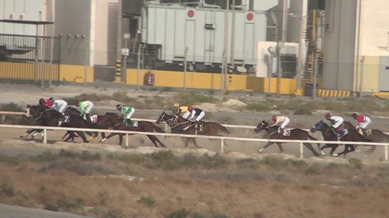 الحفل الرابع   الشوط الثاني  ميدان فروسية الجبيل   سباقات1441 هـ الموافق 2019م