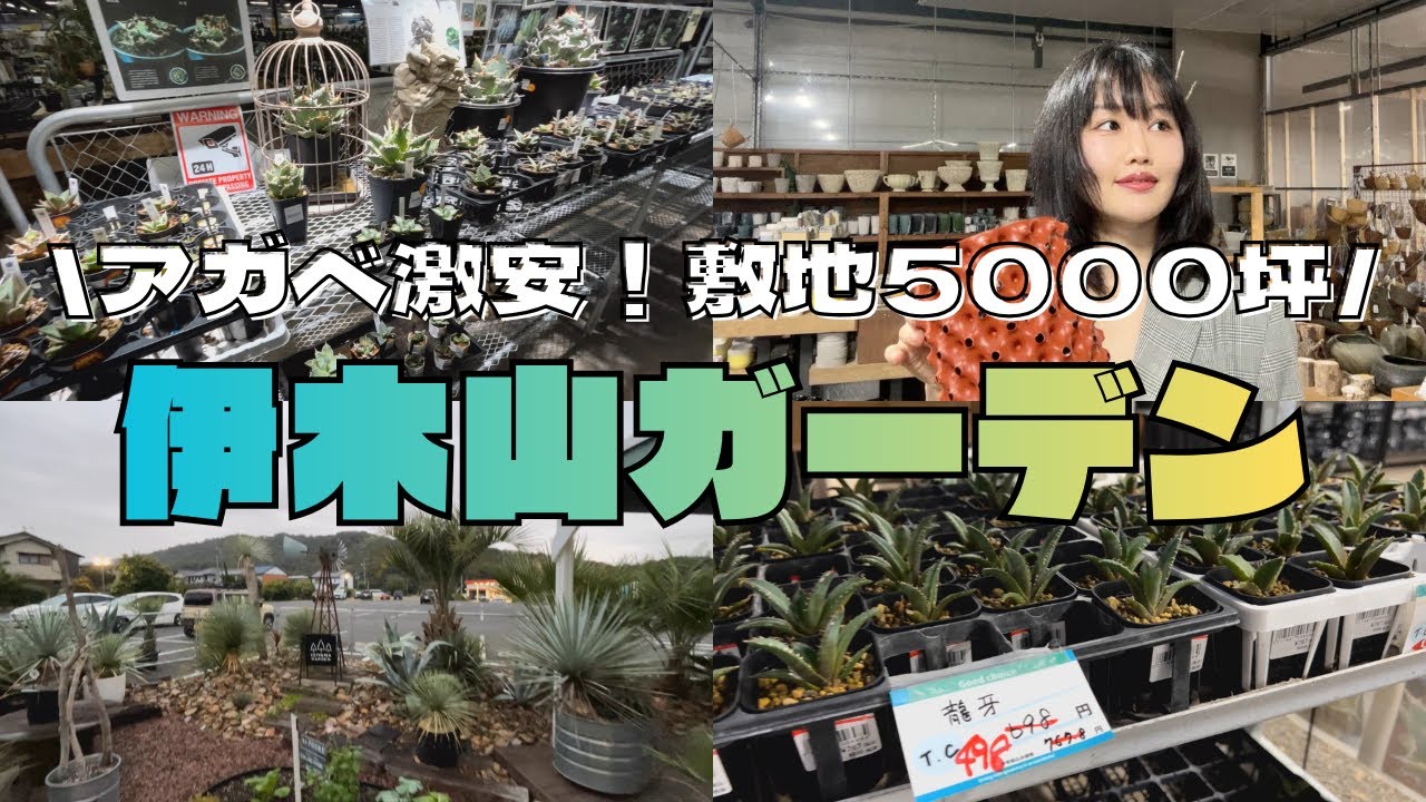 【店舗紹介】激安！割引だらけ！の伊木山ガーデンに行ってきました