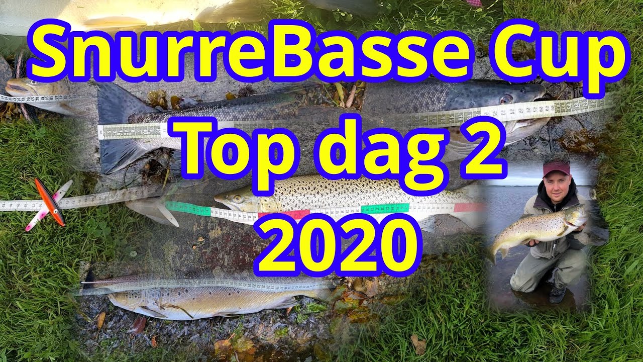 snurrebasse cup top 10 efter dag 2