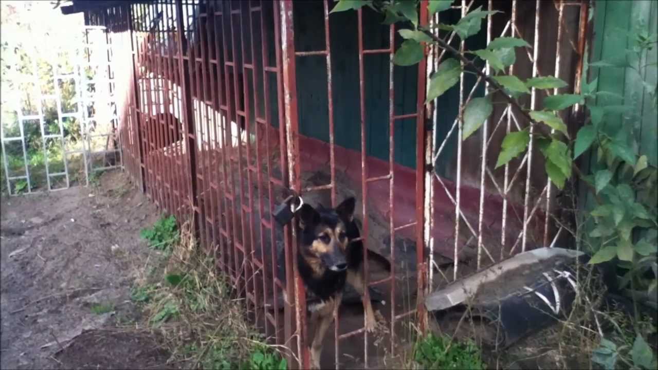 Хроники Стратегов от 18.10.12.mp4